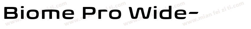 Biome Pro Wide字体转换